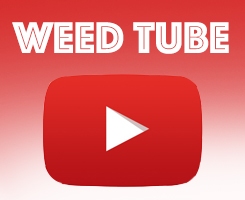 bs2best at Market WeedTube
